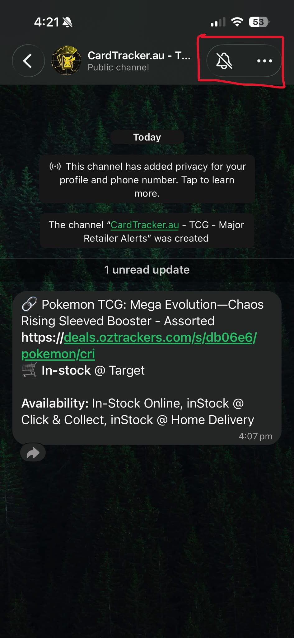 Following a WhatsApp channel and turning on notifications